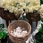 Handmade Twisted Jute Rope Planters in Light Brown (Set of 3)