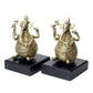 Divine Brass Ganesha